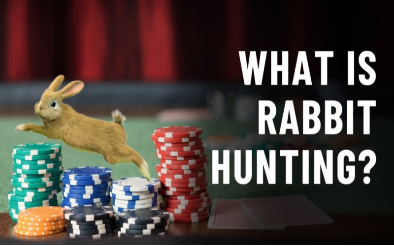 Thuật ngữ Rabbit thường được nhắc trong game bài Poker